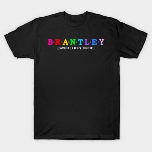 Brantley  - sword, fiery torch. T-Shirt